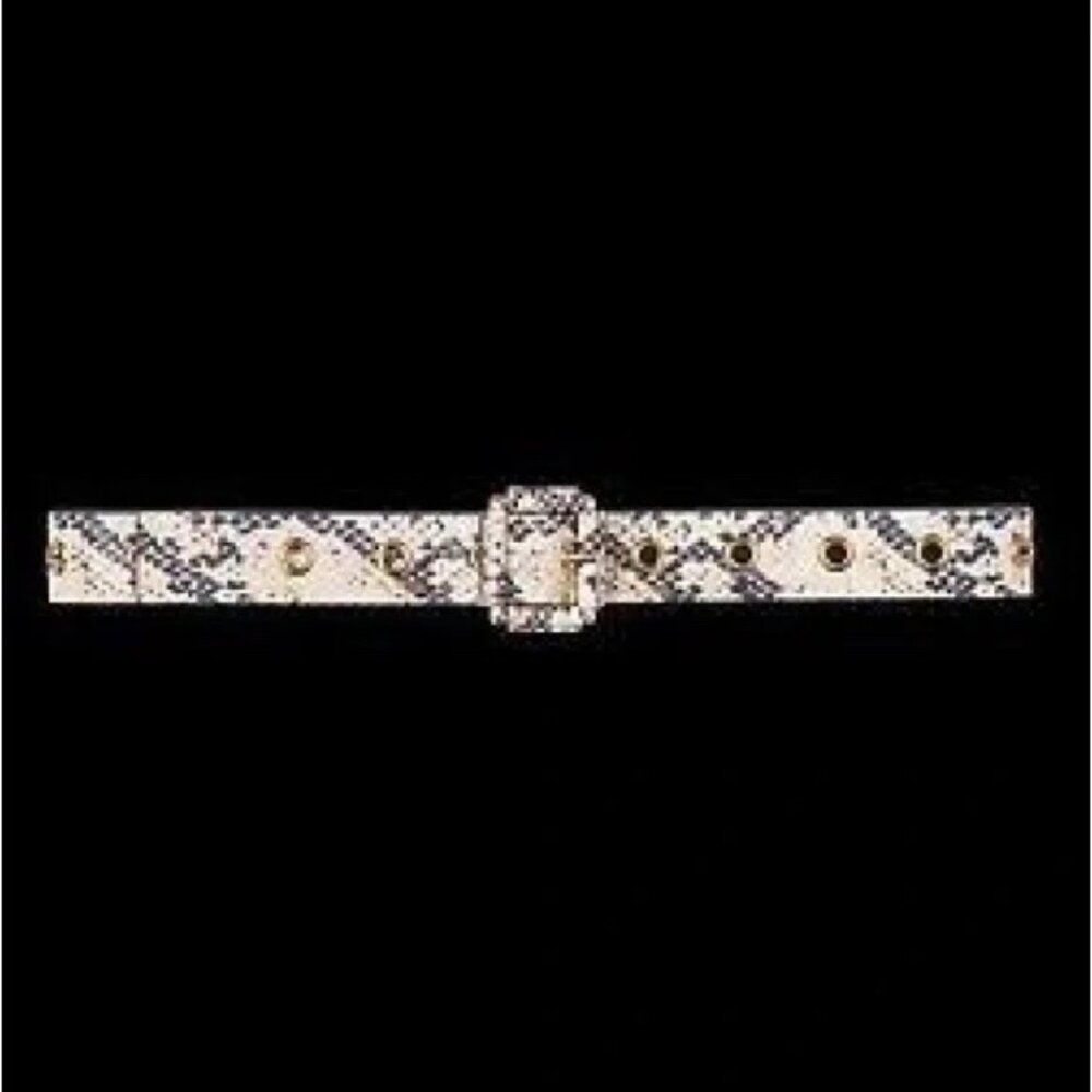 Cabi Slither Belt